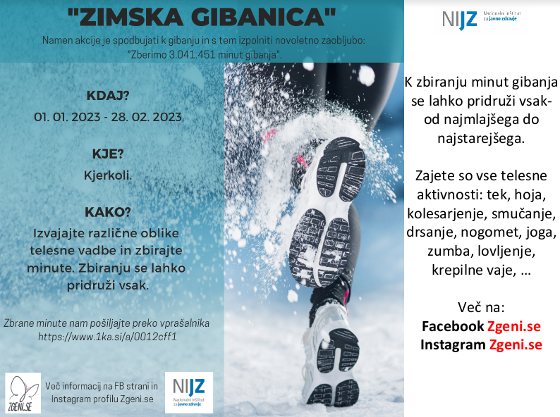 zimska gibanica